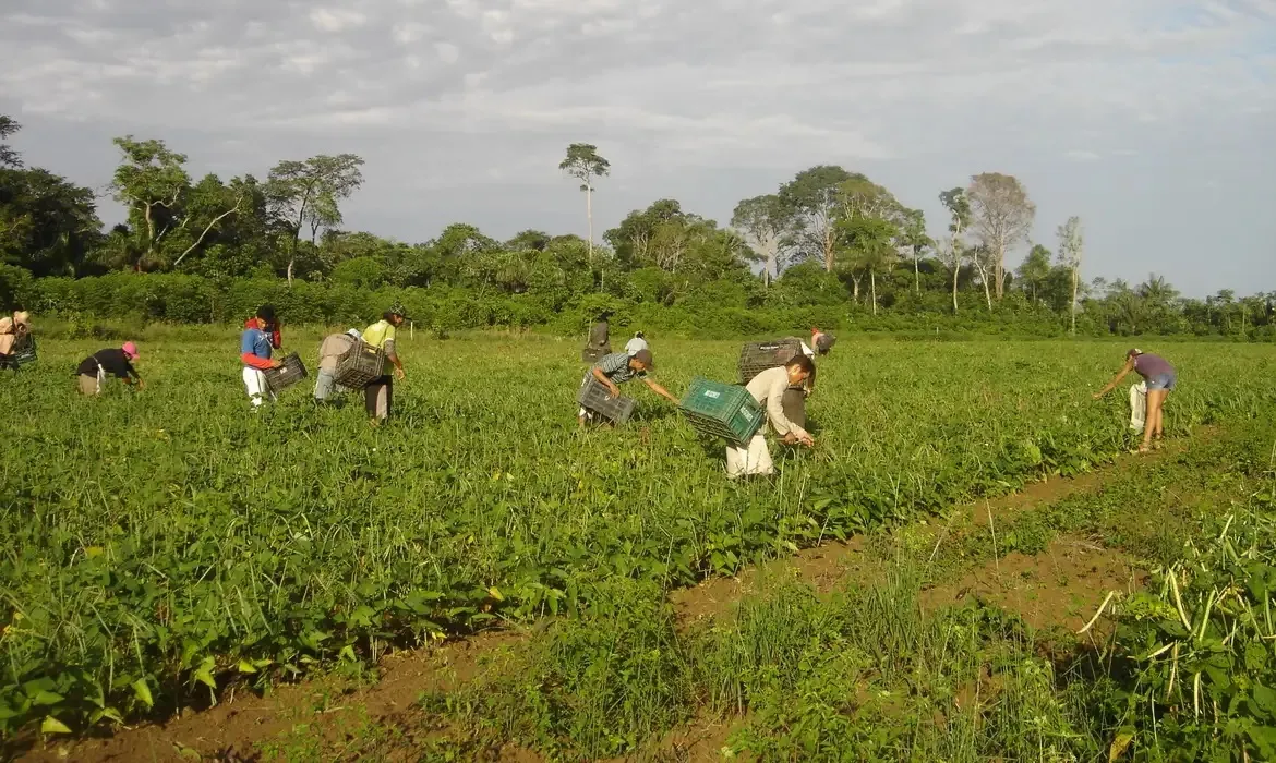 Governo defende que agricultura familiar é uma prioridade de investimento