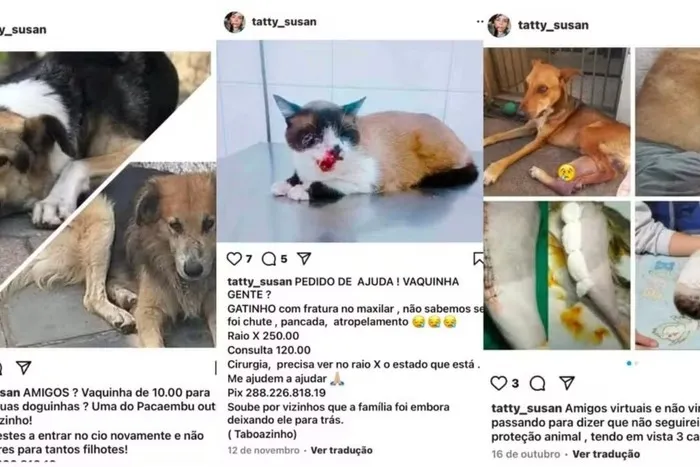 A prisão foi feita pelo Setor de Proteção Animal (Sepa) da Polícia Civil.