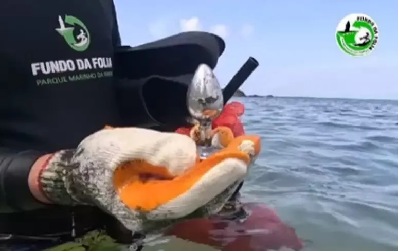 Mutirão da limpeza na praia do Porto da Barra