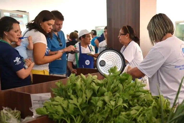 Imagem ilustrativa da imagem Nordeste abrigou 15,6% dos pequenos negócios abertos no Brasil