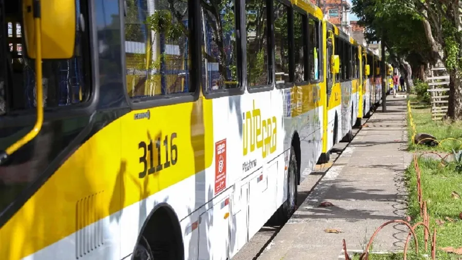 Imagem ilustrativa da imagem Ônibus voltam a circular no bairro do Arenoso