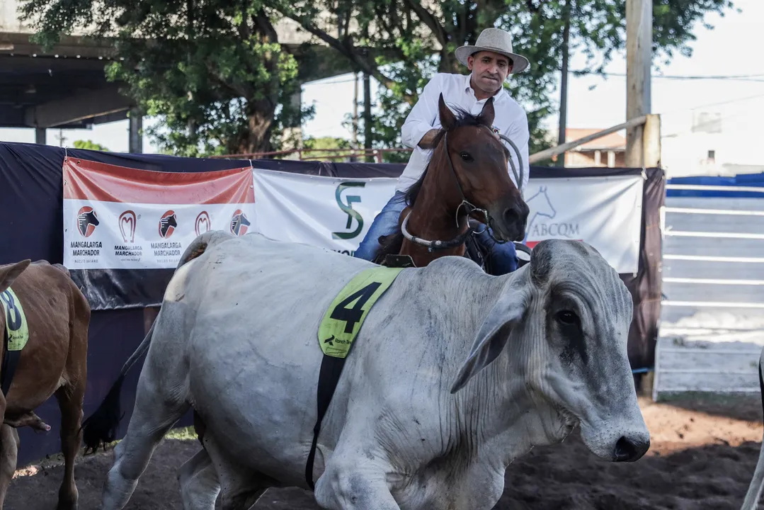 Ranch Sorting acontece neste domingo, 8, na Fenagro