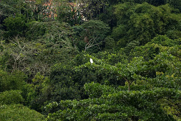 Parque São Bartolomeu, em Salvador