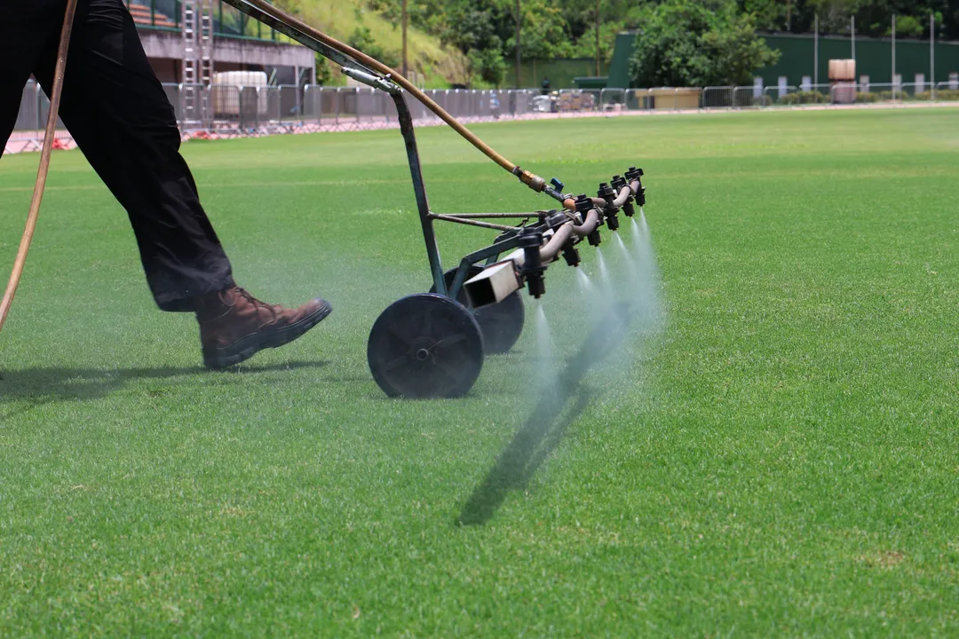 Algas foram aplicadas em parte do gramado do Estádio de Pituaçu