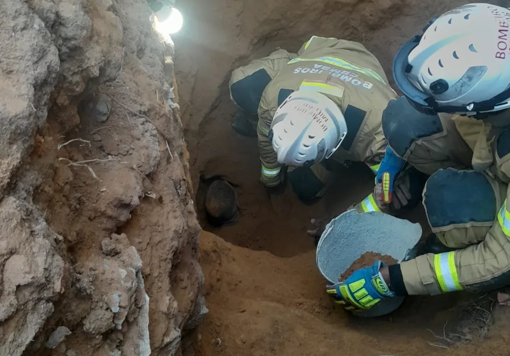 Equipes do Corpo de Bombeiros está no local atuando para fazer a retira do operário