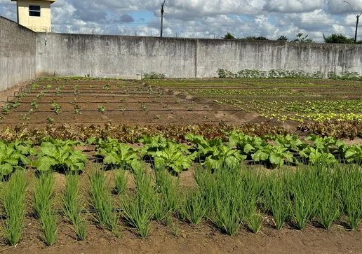 A produção de derivados do cacau estará representada por unidades da rede baiana de fábrica escola de chocolate