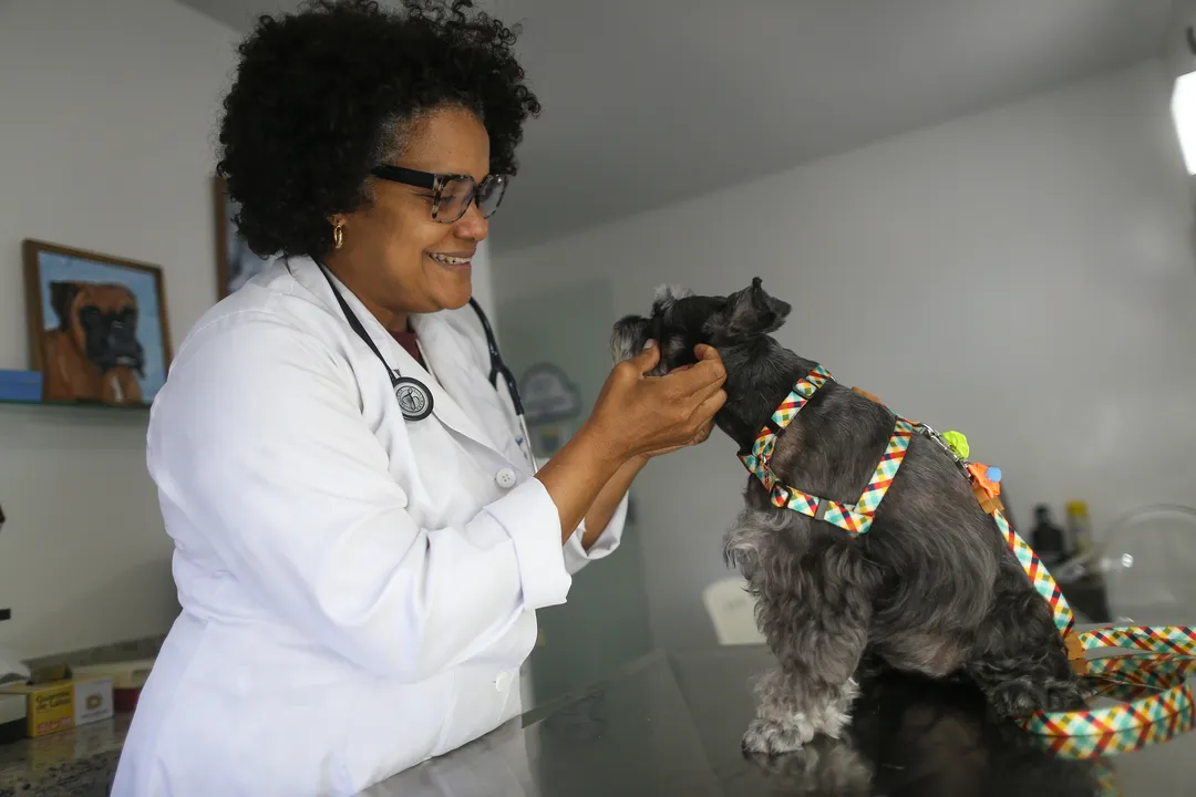 Ana Gabriela Lima, veterinária no hospital Pets Pop