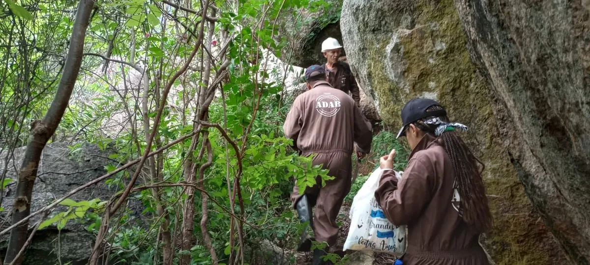 Raiva é uma doença viral que acomete mamíferos, incluindo o ser humano