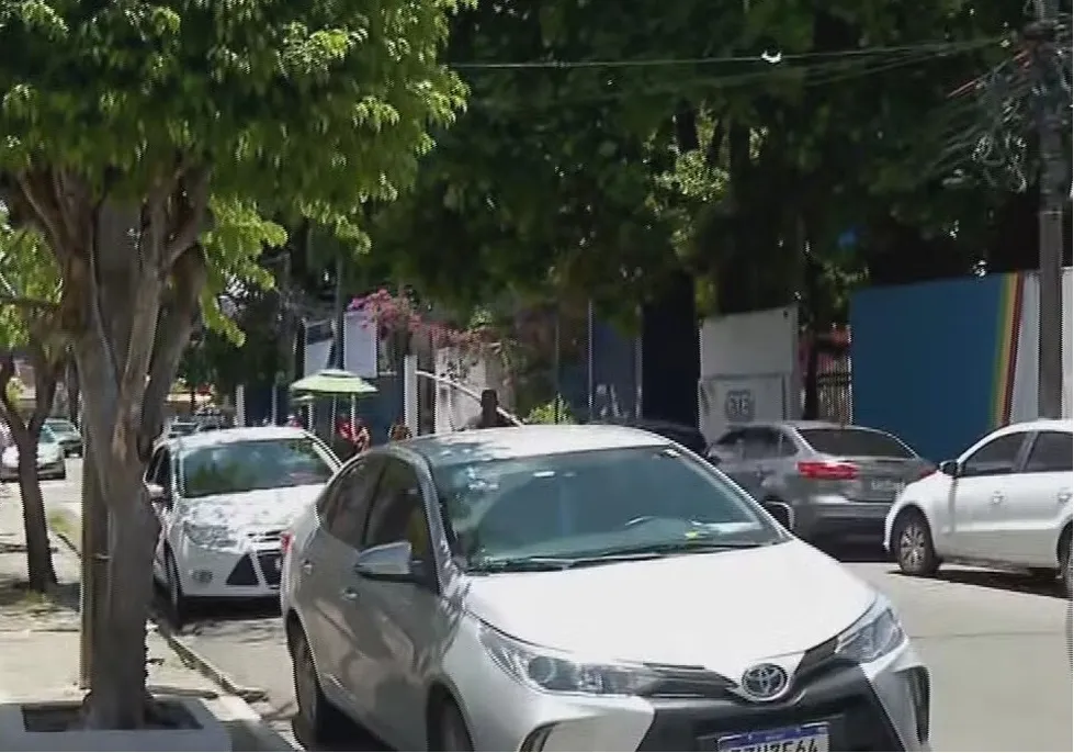 Árvore onde a sacola com a bebê foi encontrada