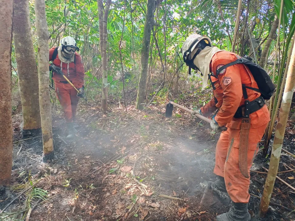 Imagem ilustrativa da imagem Bombeiros extinguiram incêndios florestais na Chapada Diamantina