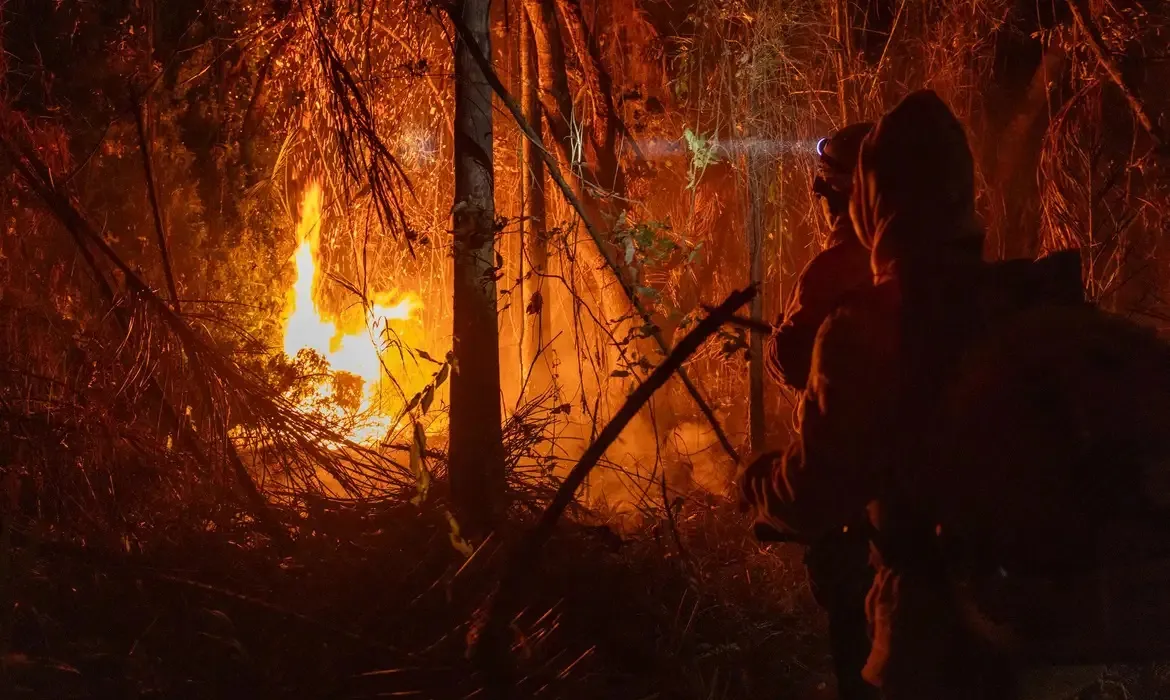 Superfície atingida é maior que o território da Itália