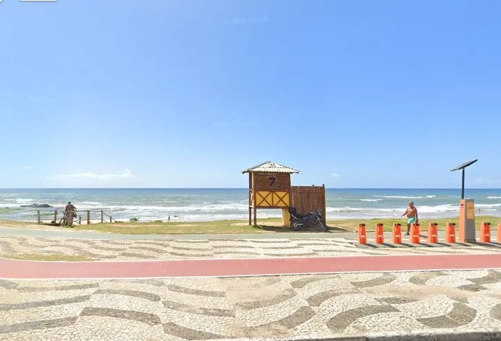 Animais foram encontrados na faixa de areia