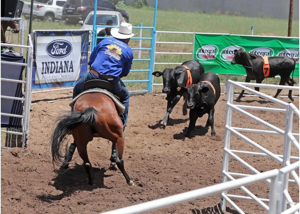 O Ranch Sorting é uma prova de velocidade e foi introduzido no Brasil em 2008,