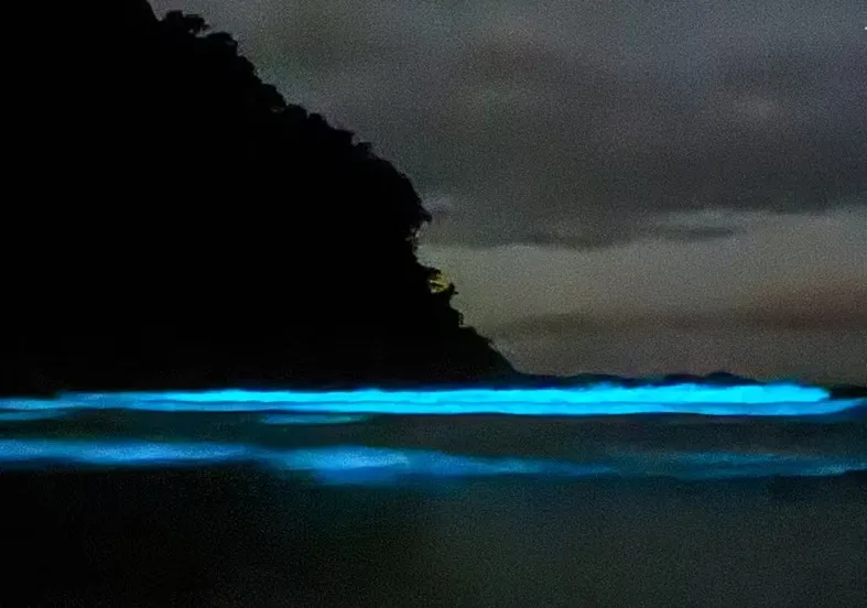 Fenômeno raro em praia de Ubatuba