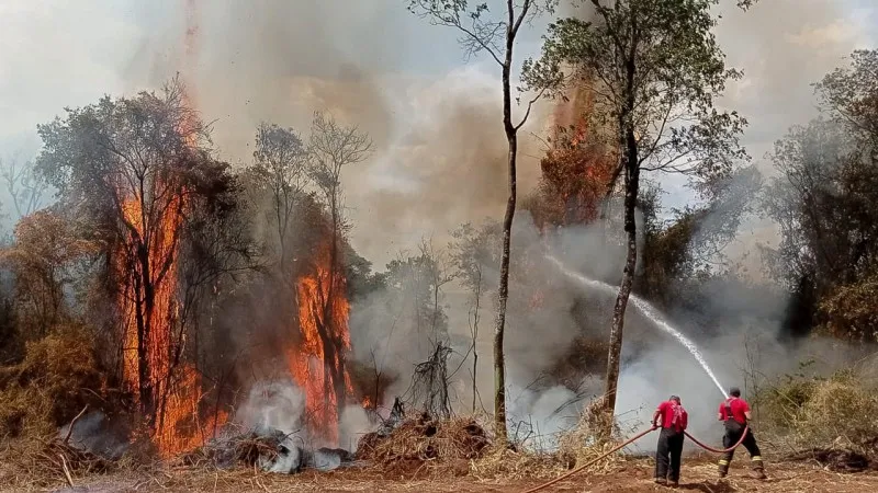 O MMA também anunciou que irá reforçar a estrutura federal de prevenção e combate ao fogo em 2025