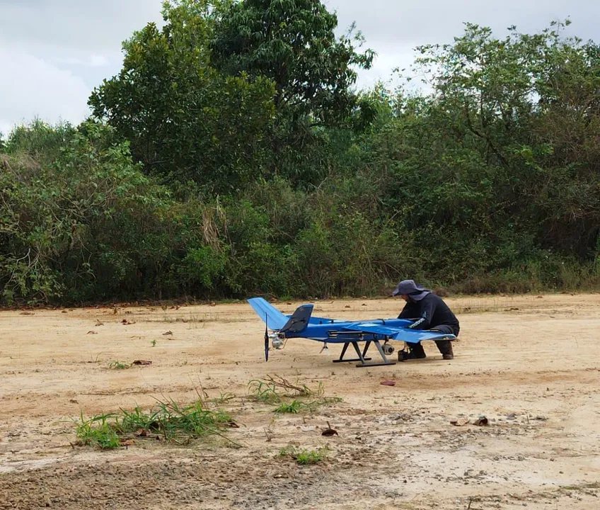 Imagem ilustrativa da imagem IA e tecnologia de ponta ajudam a proteger florestas no Sul da Bahia