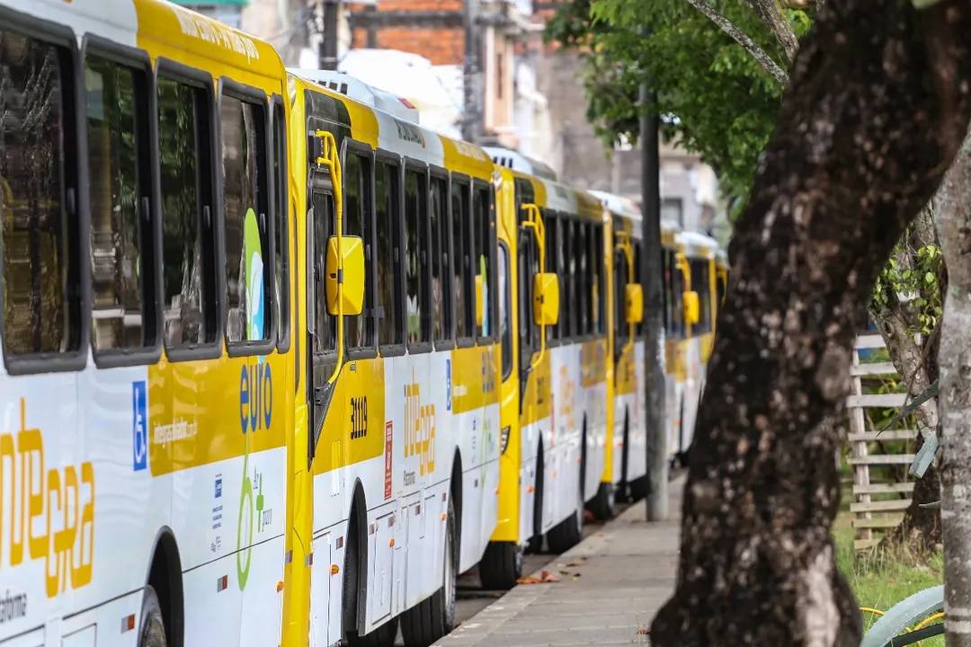 Prefeitura reativa linhas de ônibus que estavam suspensas