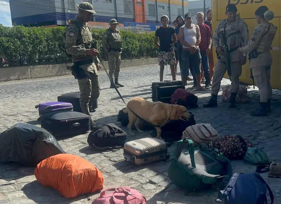 Drogas foram enviadas do Rio de Janeiro para a Bahia