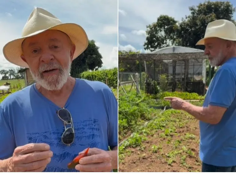 Lula em horta na Granja do Torto