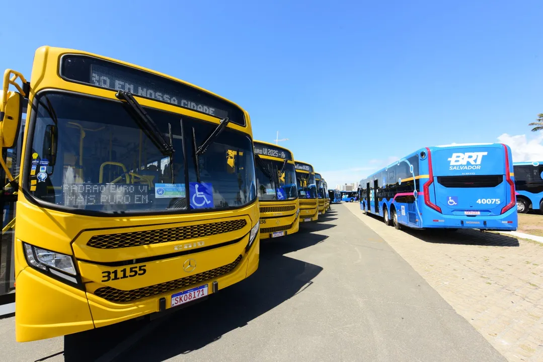 40 veículos vão ser adicionados à frota de transporte público.