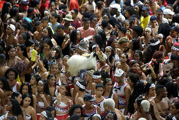 Confusão aconteceu durante passagem do bloco As Kuviteiras no Campo Grande