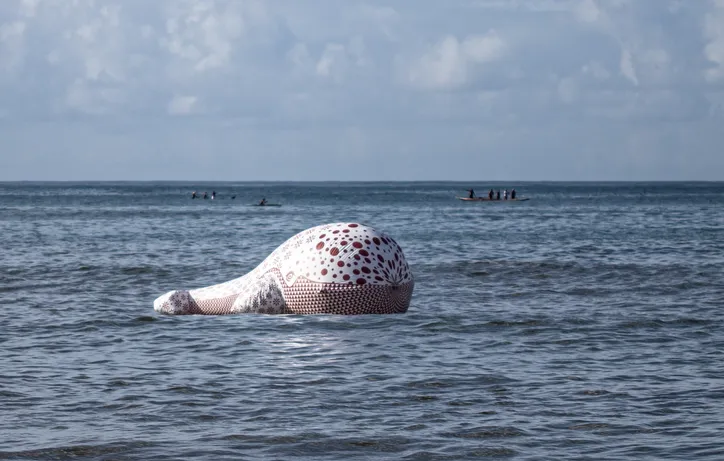 Baleia Rosa do Amor na praia de Itapuã