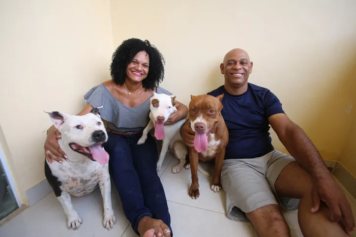 Silvana teve uma experiência tão boa com Estrela que adotou também as pitbulls Pandora e Kyara