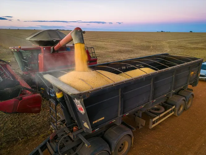 Agroindústria tem papel fundamental entre as missões que compoem a neoindustrialização brasileira