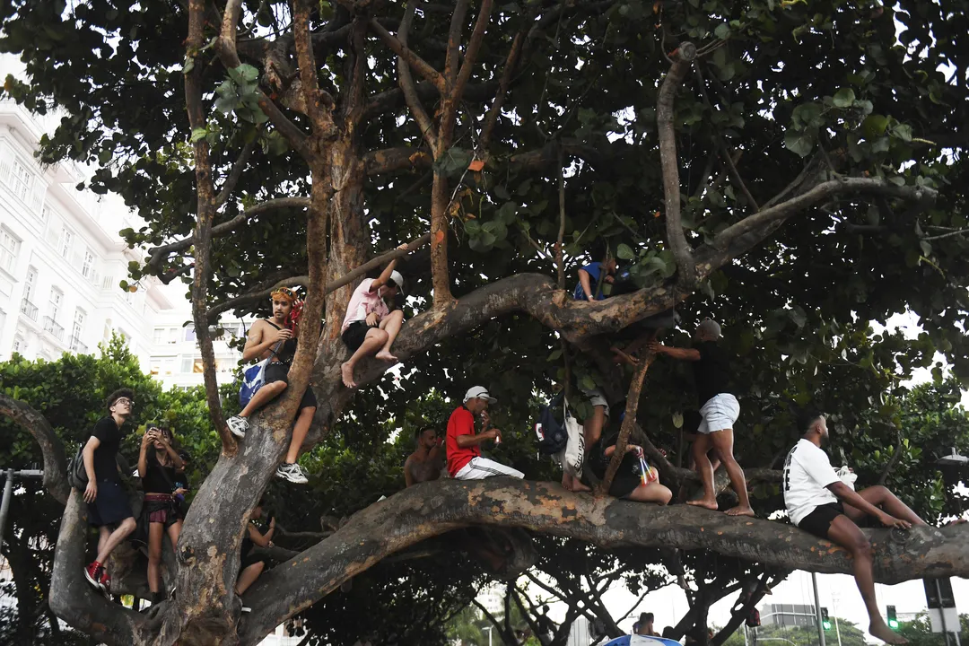 Fãs de Lady Gaga reservaram lugar em cima de uma árvore para ter visão privilegiada do show
