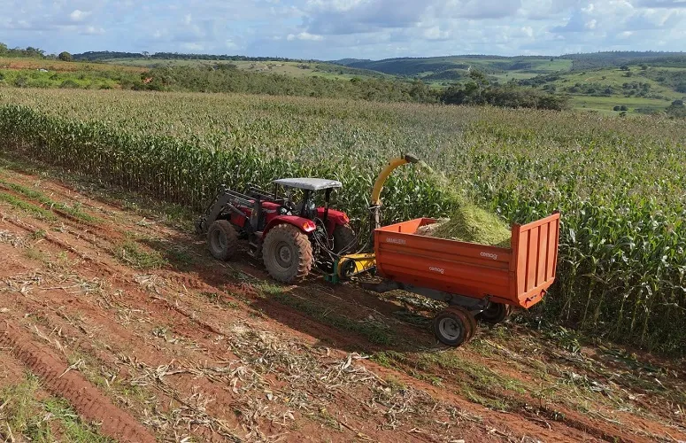 Apenas 15 municípios do nordeste do Brasil e quatro da Bahia aparecem no ranking dos destinos mais atrativos para investidores do agro