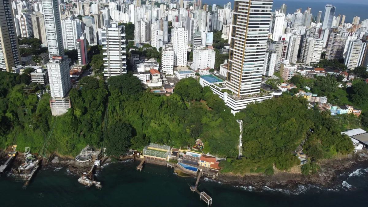 Área de proteção permanente na Encosta da Vitória, em Salvador