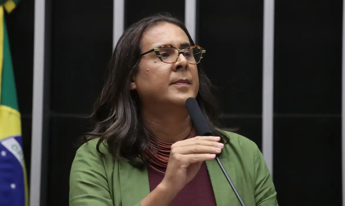 Deputada federal Duda Salabert (PDT-MG)
