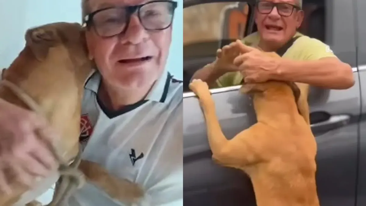 Empresário diz que Caramelo costuma fugir de casa, mas sempre volta