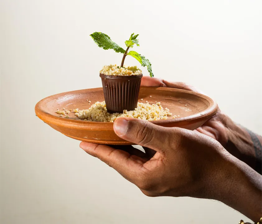 Imagem ilustrativa da imagem Jovem chef de Ilhéus celebra o Dia do Cacau com a conquista de prêmio