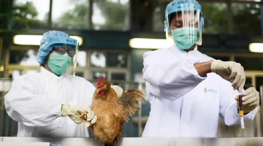 Países adotaram medida depois da confirmação do 1º caso de gripe aviária em uma granja comercial, em Montenegro, no Rio Grande do Sul