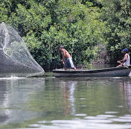 Pescador no Rio Joanes: como em toda a Bahia, artesanal