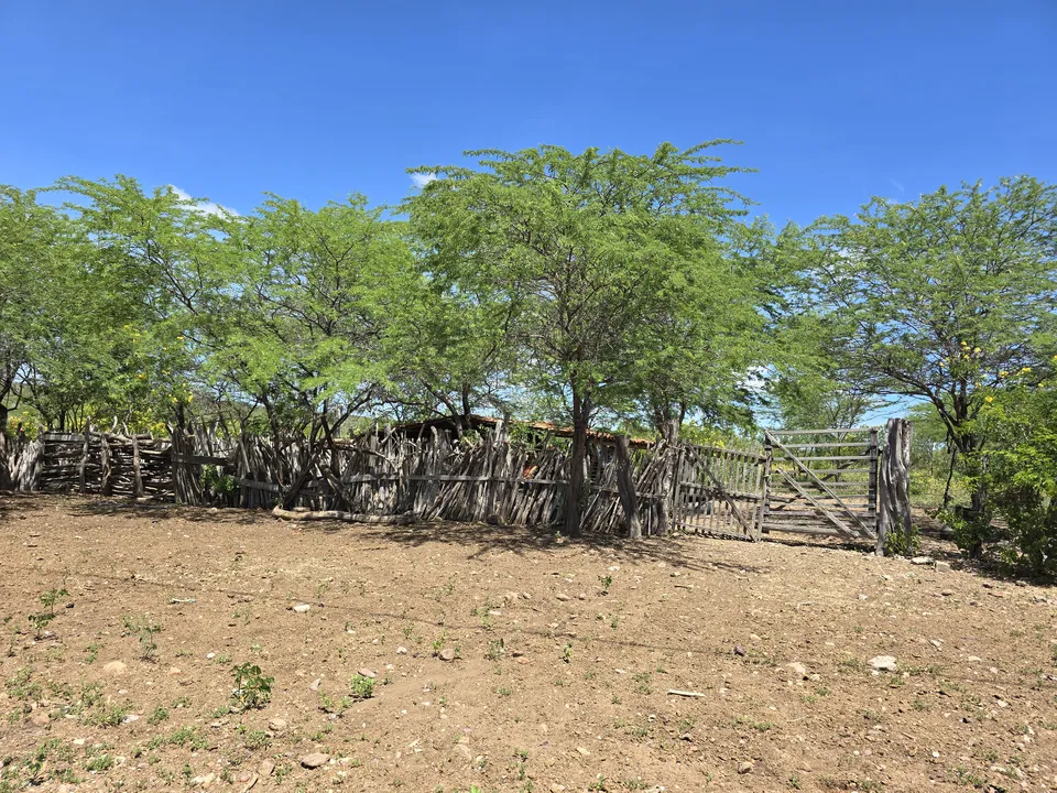 Seca no Norte da Bahia