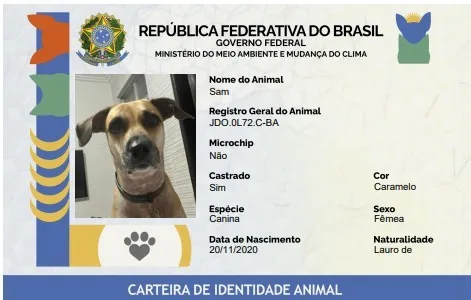 Imagem ilustrativa da imagem Sinpatinhas abre caminho para combate ao abandono