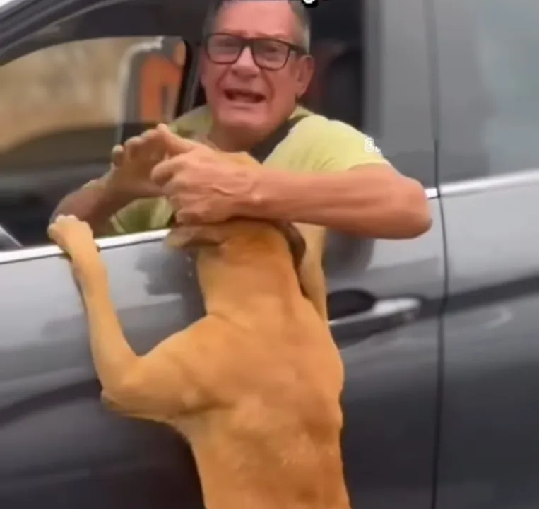 Homem foi flagrando supostamente abandonando cachorro em bairro de Salvador
