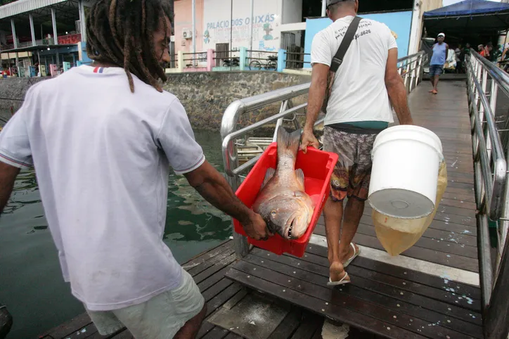 Imagem ilustrativa da imagem Pescadoras debatem racismo ambiental