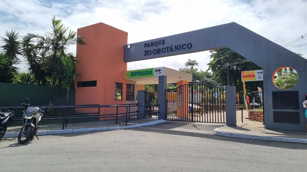 Visitação contece de terça a domingo, das 9h às 17h