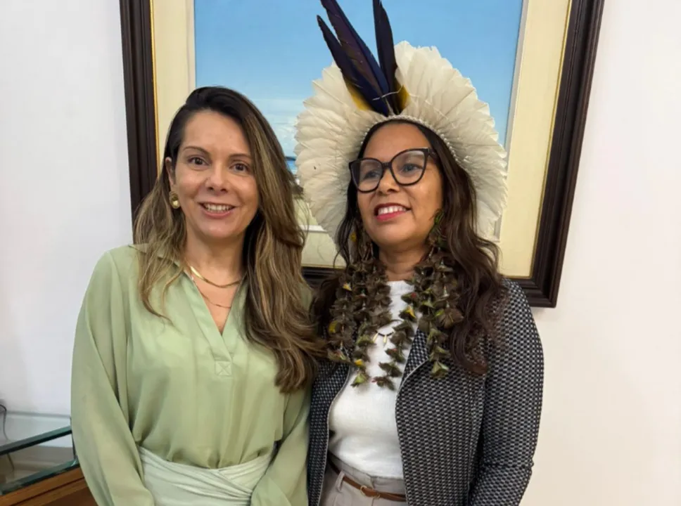 A iniciativa foi proposta pelo deputado estadual Rosemberg Pinto (PT)