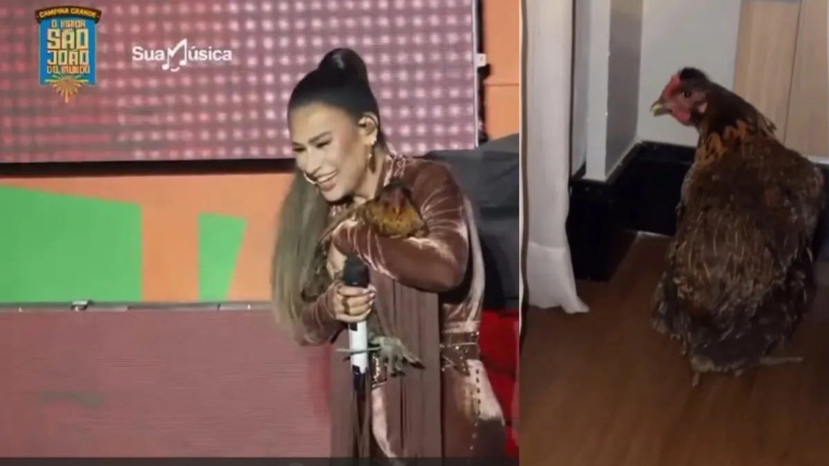 Cantora foi surpreendida com uma galinha viva doada por um fã