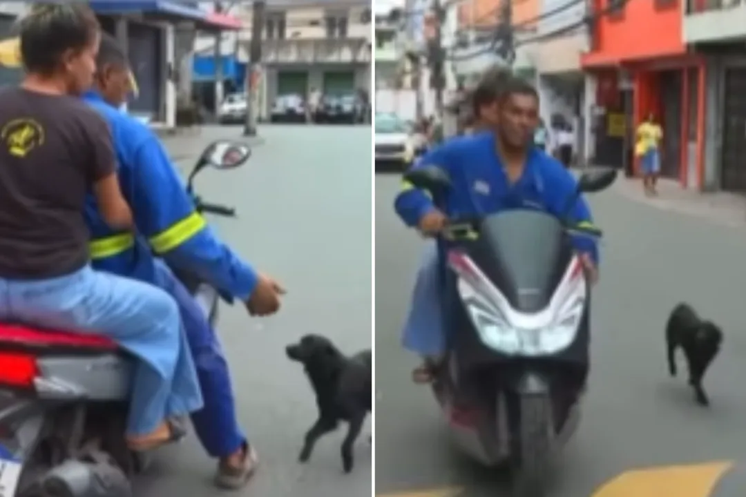 Cachorro 'pega carona' em moto ao vivo na TV e choca web