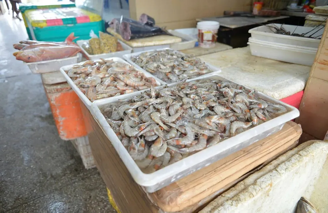 Pescadores, marisqueiras e demais ambulantes terão espaço reservado nos vagões do VLT