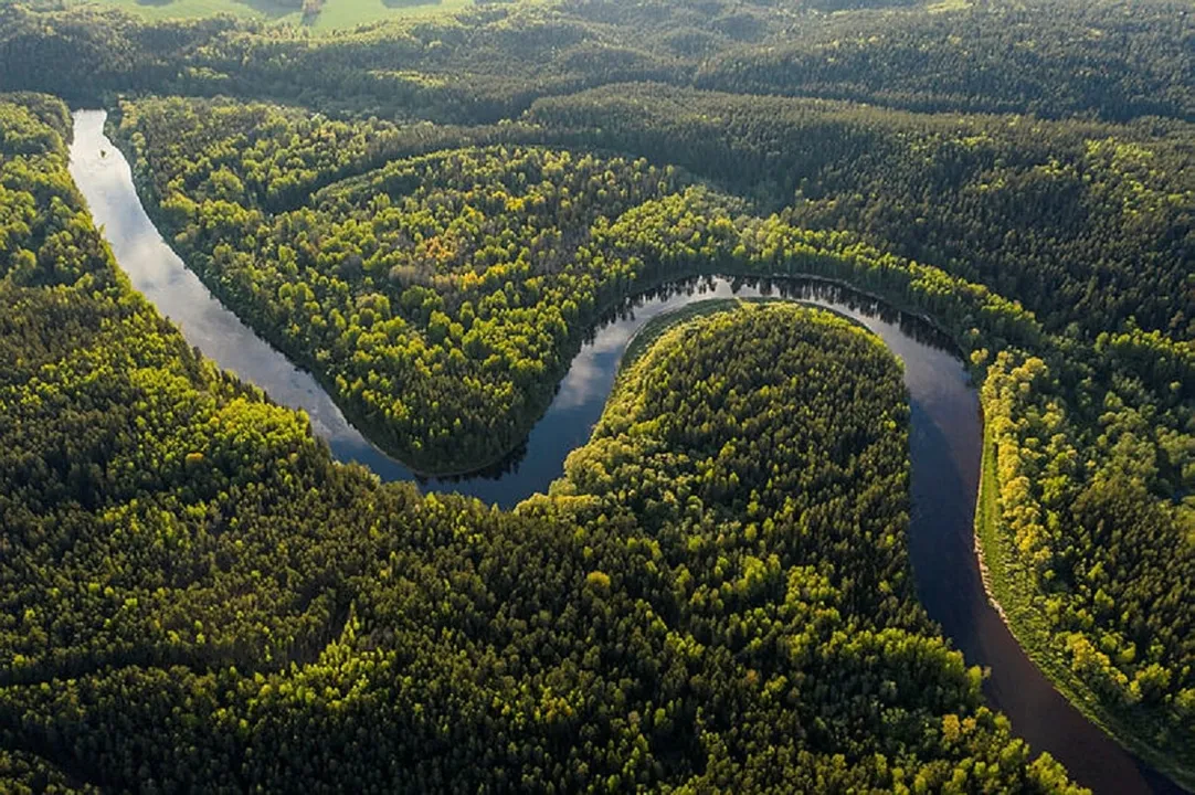 Amazônia vista de cima