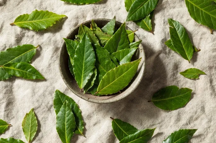 Coloque folha de louro nesses lugares e ative dinheiro e proteção