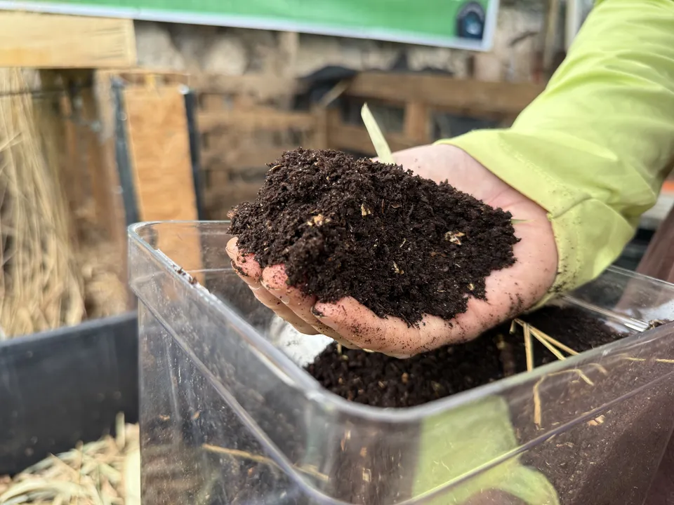 Compostagem caseira: como transformar resíduos em adubo natural