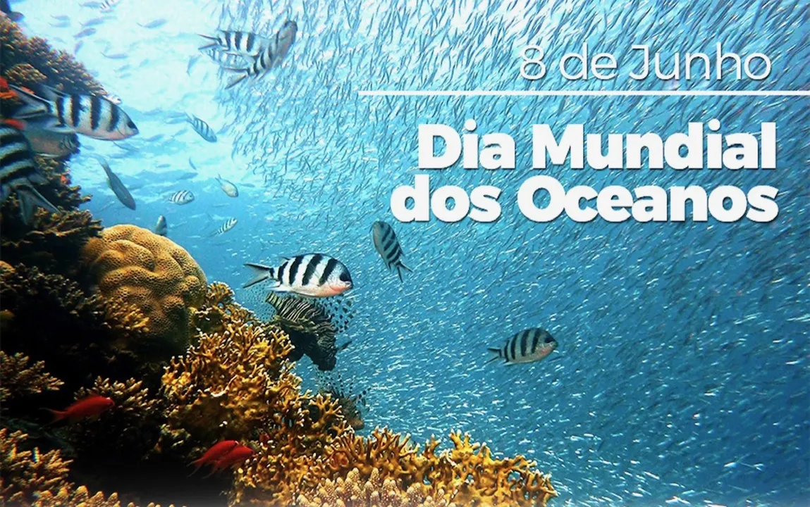 O Dia Mundial dos oceanos é comemorado em 8 de junho