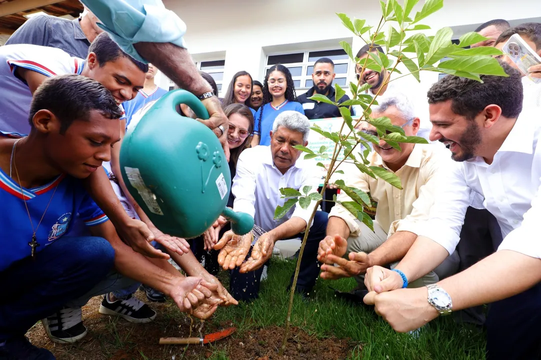 Jerônimo plantou um ipê amarelo e um pau-brasil na cidade